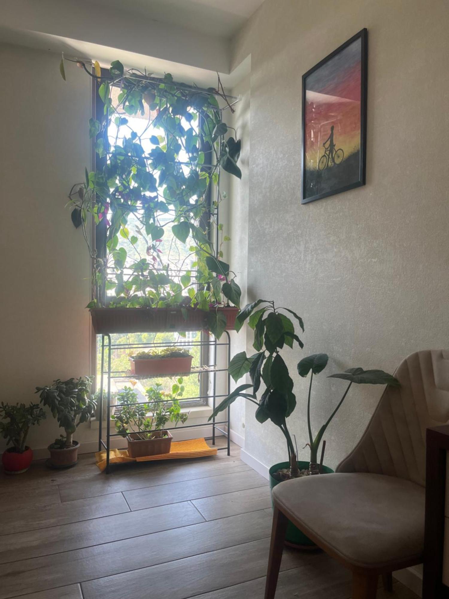 Apartamento Panorama Khiliani Tiflis Exterior foto